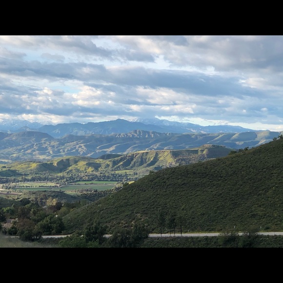 Meet your Posher, Alisa - Picture 2 of 4